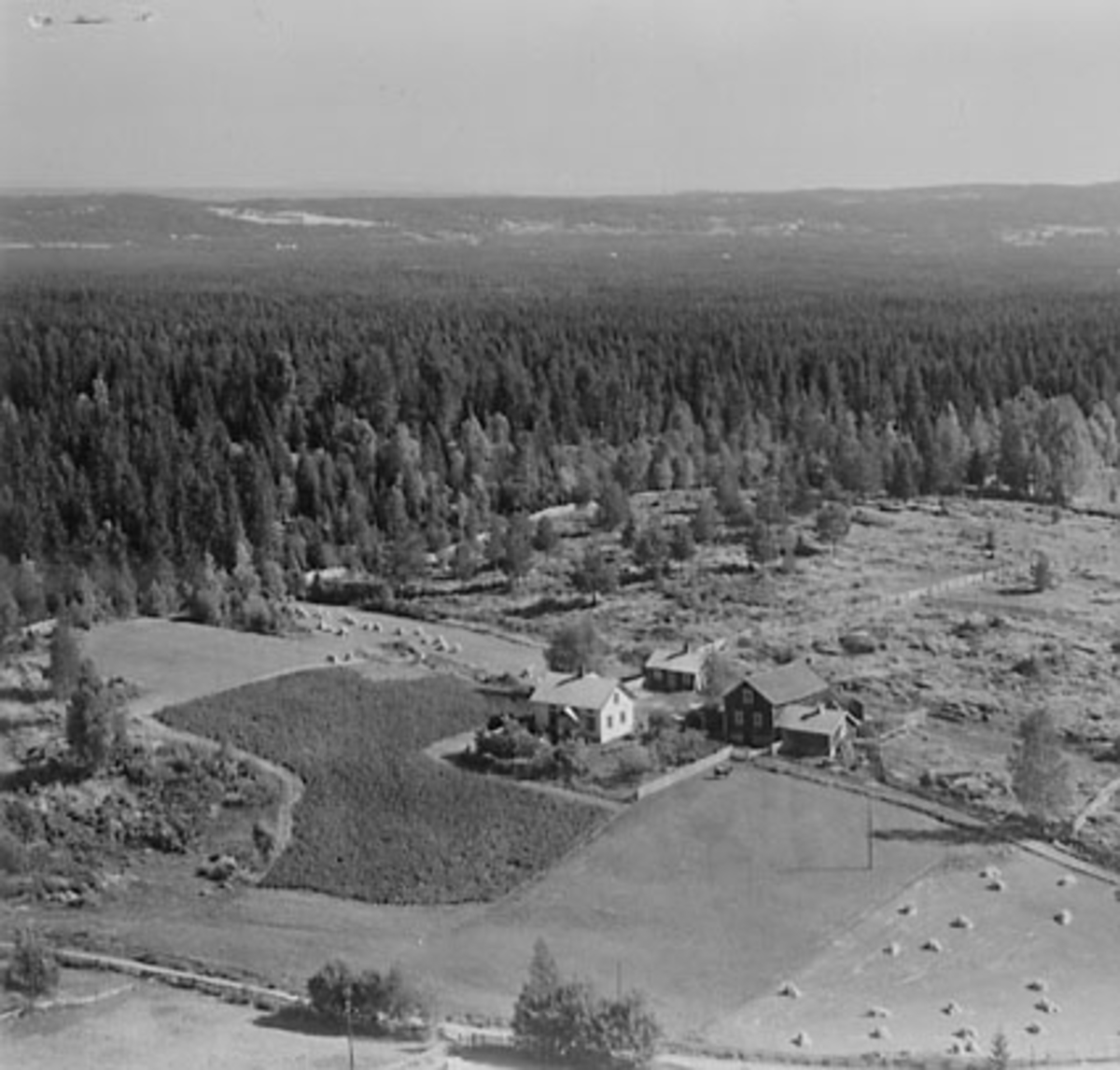 Widerøes Flyveselskap A/S, FLYFOTO ÅSEN, STANGE