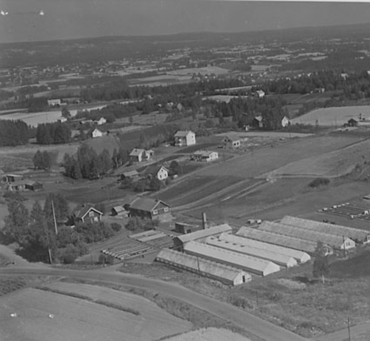 Widerøes Flyveselskap A/S, FLYFOTO TØNSETH GARTNERI, BEKKELAGET, DRIVHUS, Veksthus.