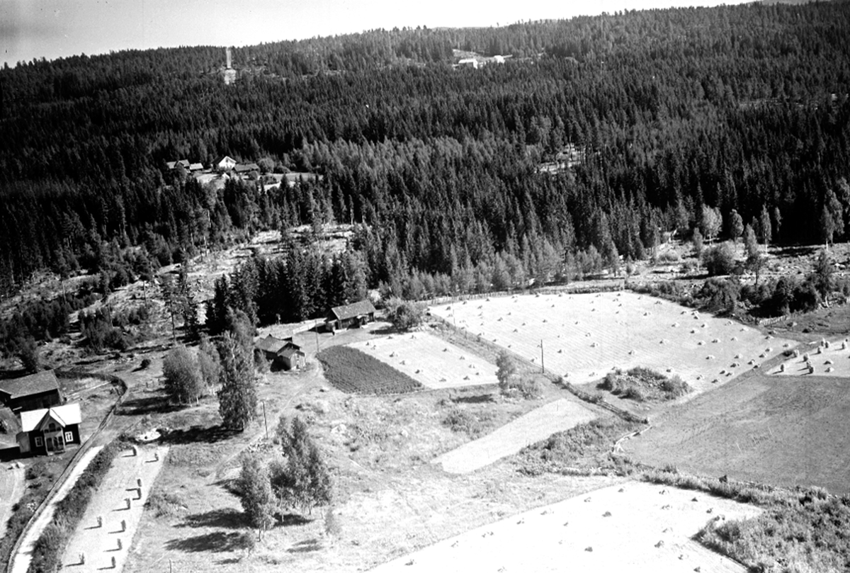 Widerøes Flyveselskap A/S, Flyfoto. Brynsvegen 207 (Gnr 255, bnr 6) Åset til venstre i bildet og Brynsvegen 201 (Gnr 250, bnr 3) Nyhus midt i bildet. Begge i Stange (tidl. Romedal).