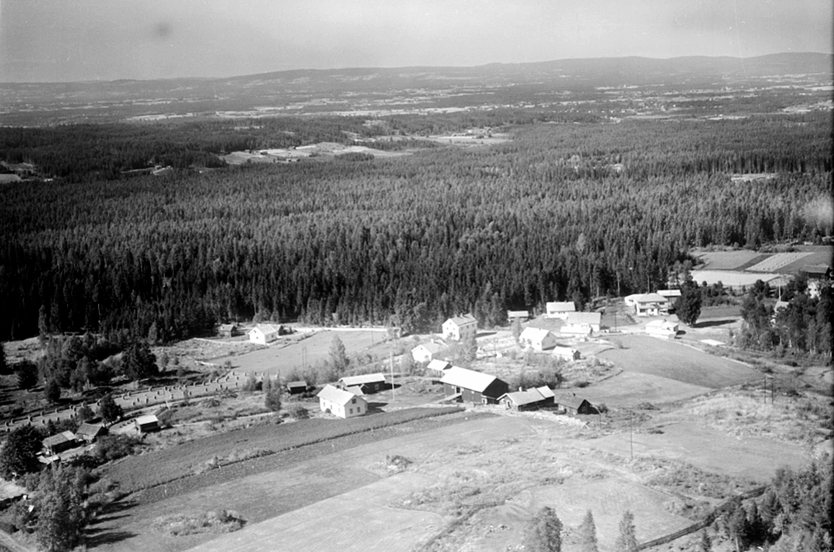 Widerøes Flyveselskap A/S, FLYFOTO, HEKNE ØVRE 288-1, ÅSBYGDA