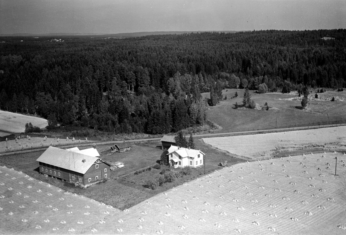 Widerøes Flyveselskap A/S, FLYFOTO HERSET 255-1, ROMEDAL
