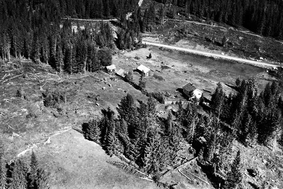 Widerøes Flyveselskap A/S, FLYFOTO SPETALSVANGEN 114-10, SPETALEN