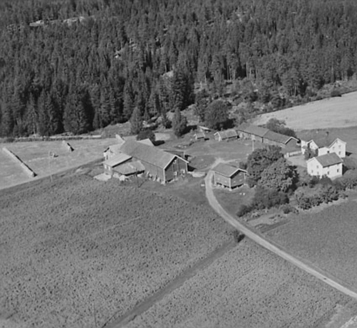 Widerøes Flyveselskap A/S, FLYFOTO SKAVEN, TANGEN