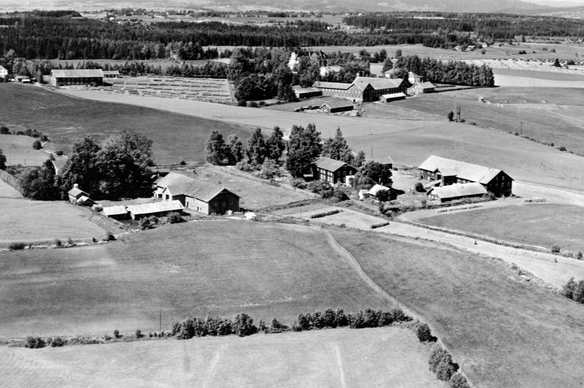 Widerøes Flyveselskap A/S, FLYFOTO STENBERG NORDRE, STANGE