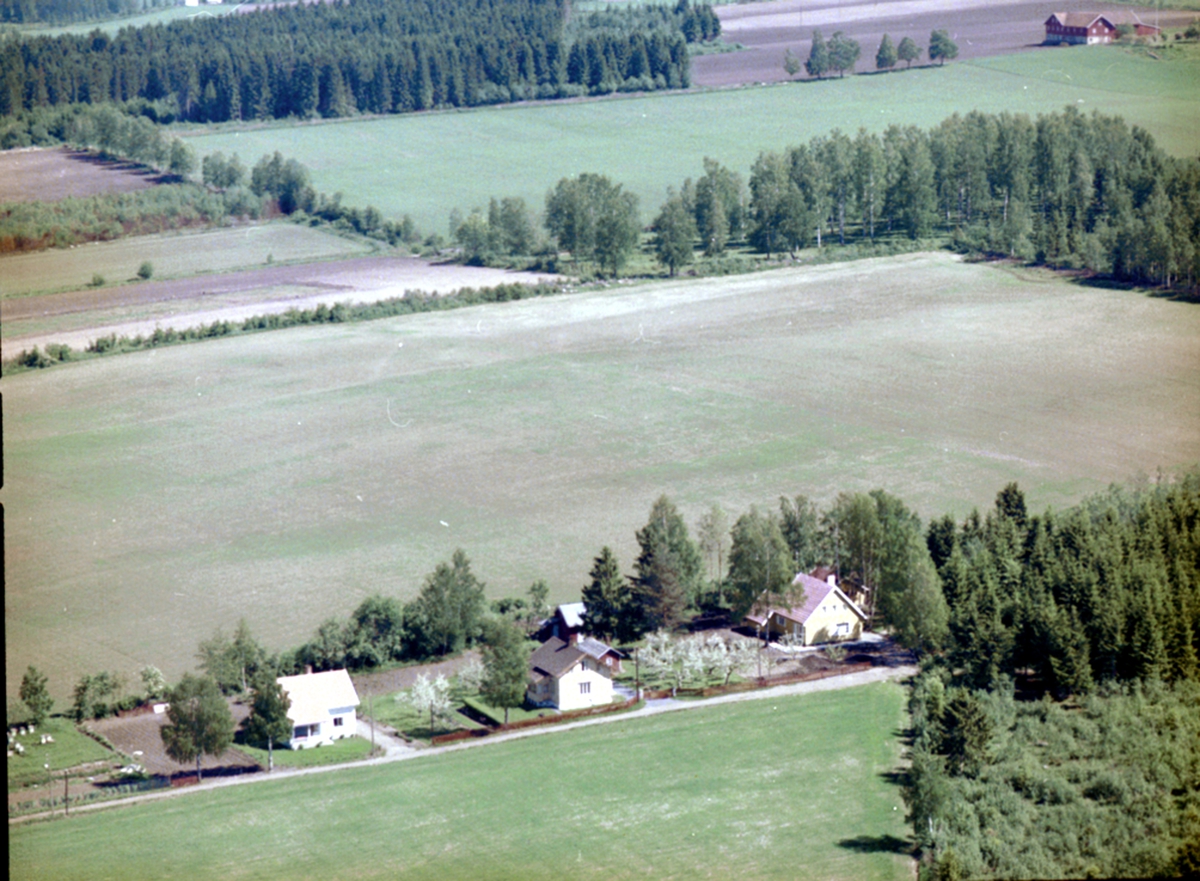 Widerøes Flyveselskap A/S, FLYFOTO BOLIGBEBYGGELSE I SANDVIKA, ILEVEGEN 9, 11 OG 13 I BEKKELAGET. ØVRE-KÅTERUD OPP TIL HØYRE.