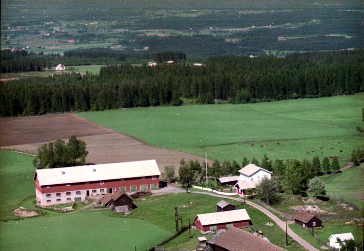 Widerøes Flyveselskap A/S, FLYFOTO RØNE NORDRE