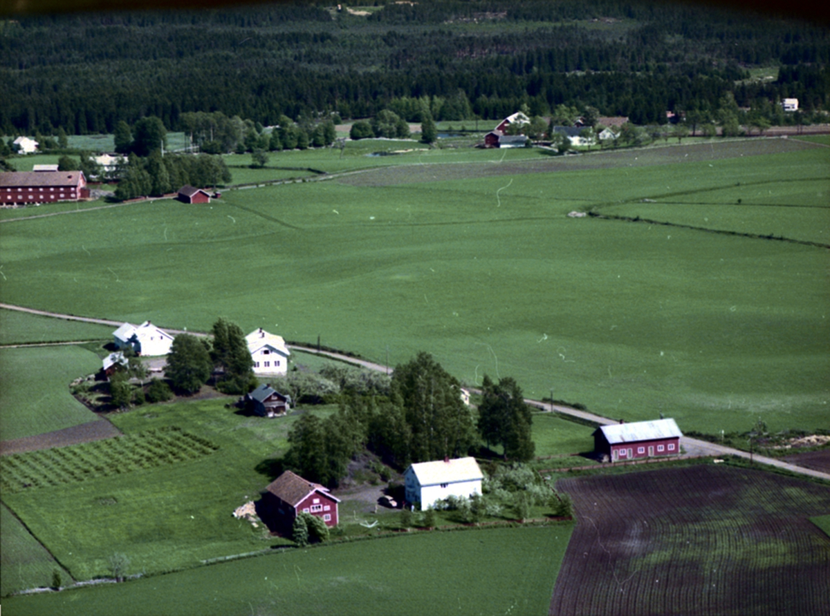 Widerøes Flyveselskap A/S, FLYFOTO FJÆSTAD LILLE
