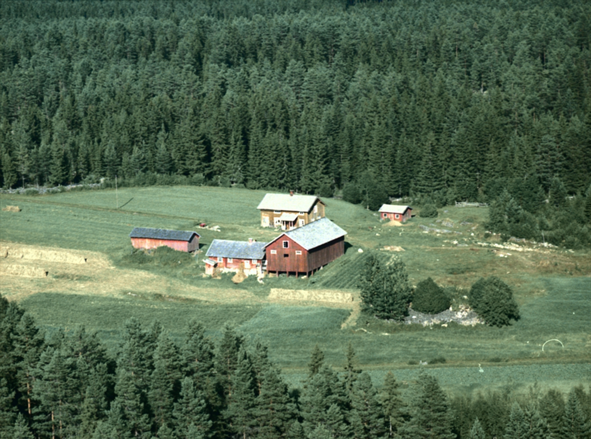 Widerøes Flyveselskap A/S, FLYFOTO 1965. RASKERUD, SENERE SKOGLUND, FRADELT FRA HARILDSTAD, VALLSET.