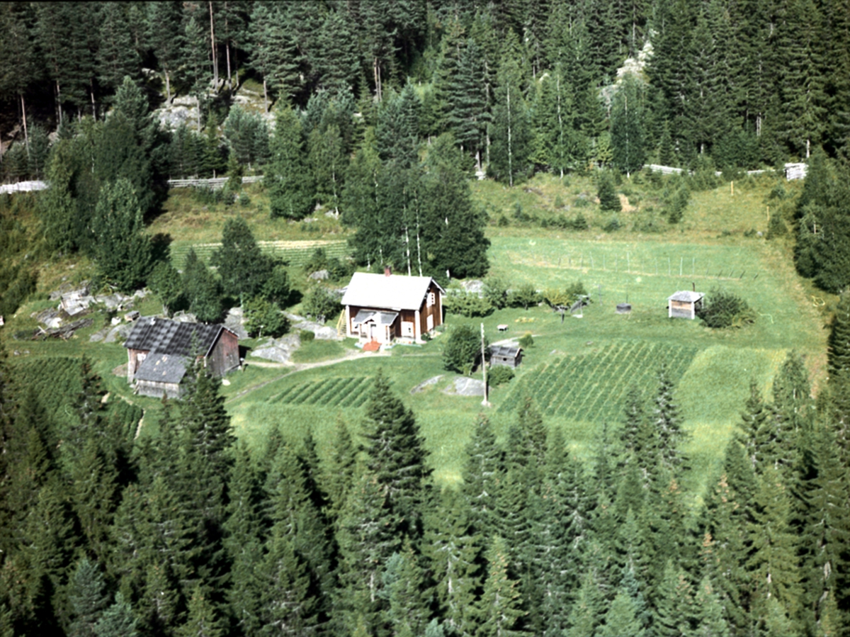 Widerøes Flyveselskap A/S, FLYFOTO RØNNINGEN, VALLSET