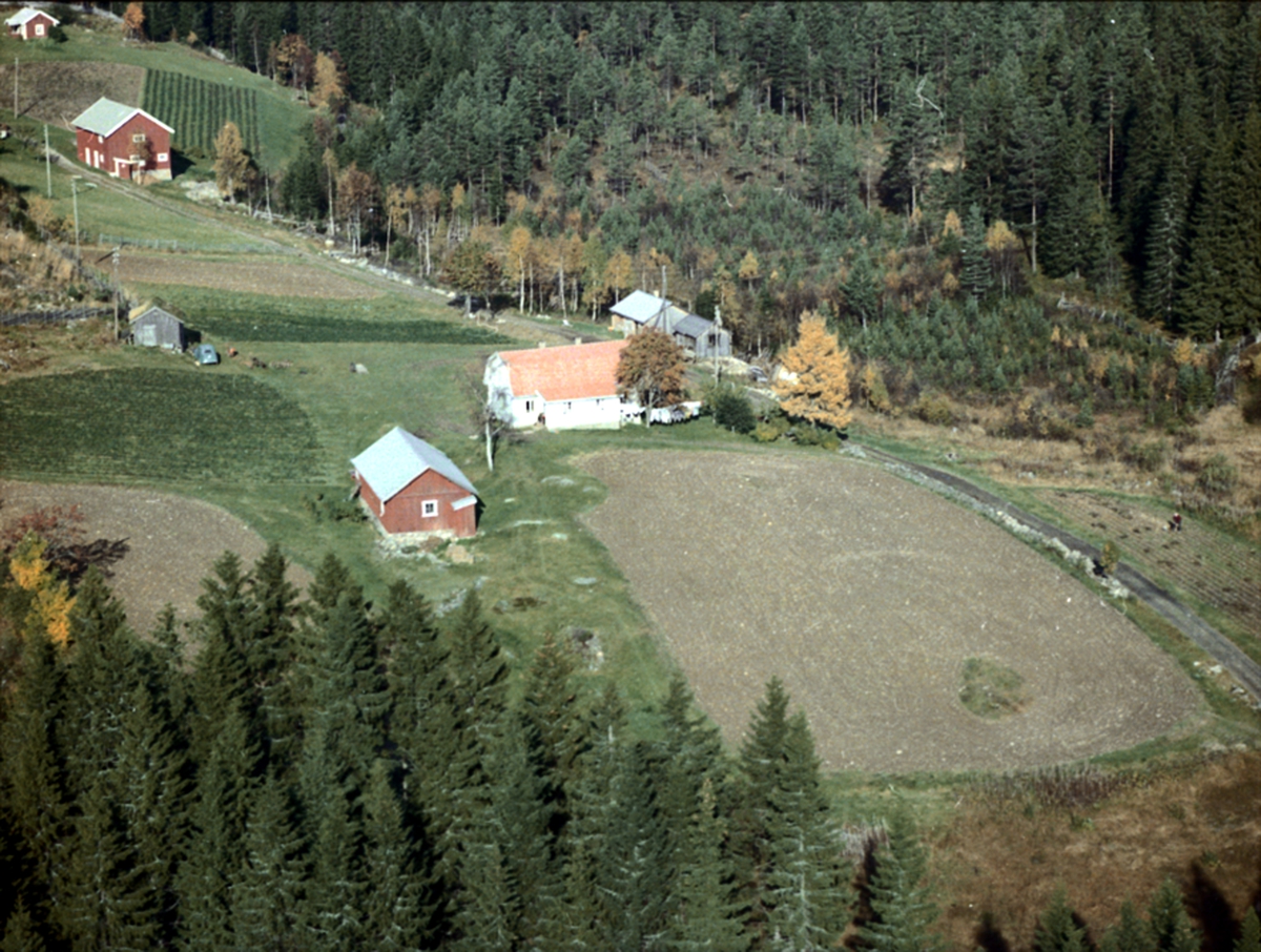 Widerøes Flyveselskap A/S, FLYFOTO Rognli 369/8, VALLSET