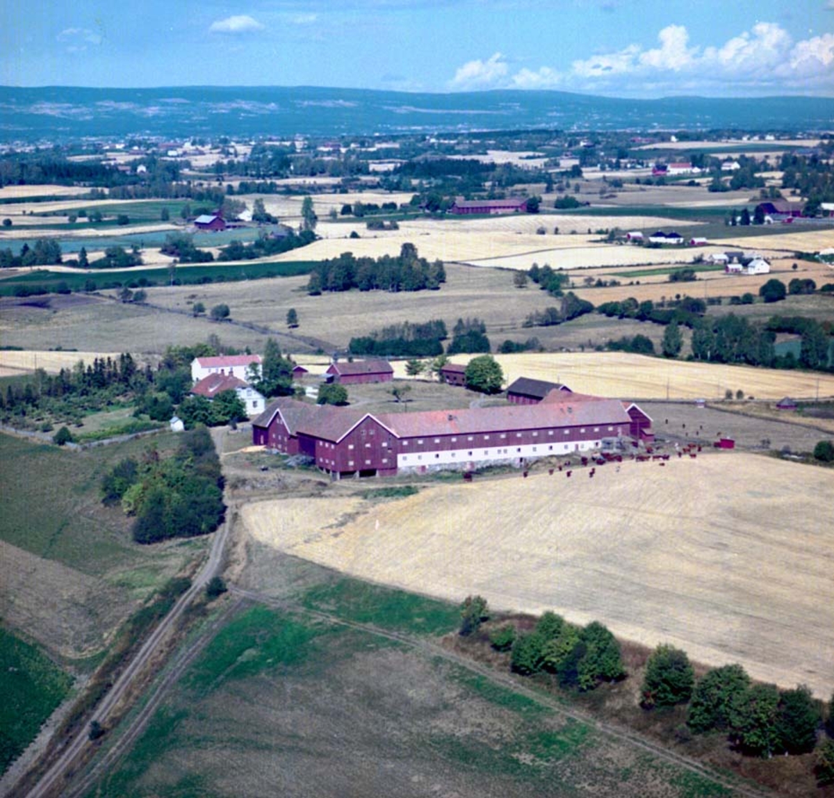 Widerøes Flyveselskap A/S, FLYFOTO HUSEBY, STANGE