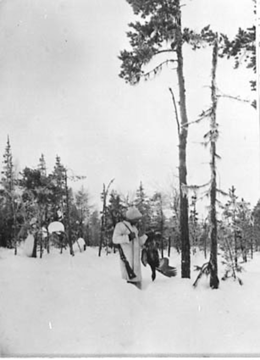 Anno Domkirkeodden, FUGLEJAKT, MANN MED TIUR, GEVÆR, VINTER, STEINVIKSKJØLEN, ESPA
