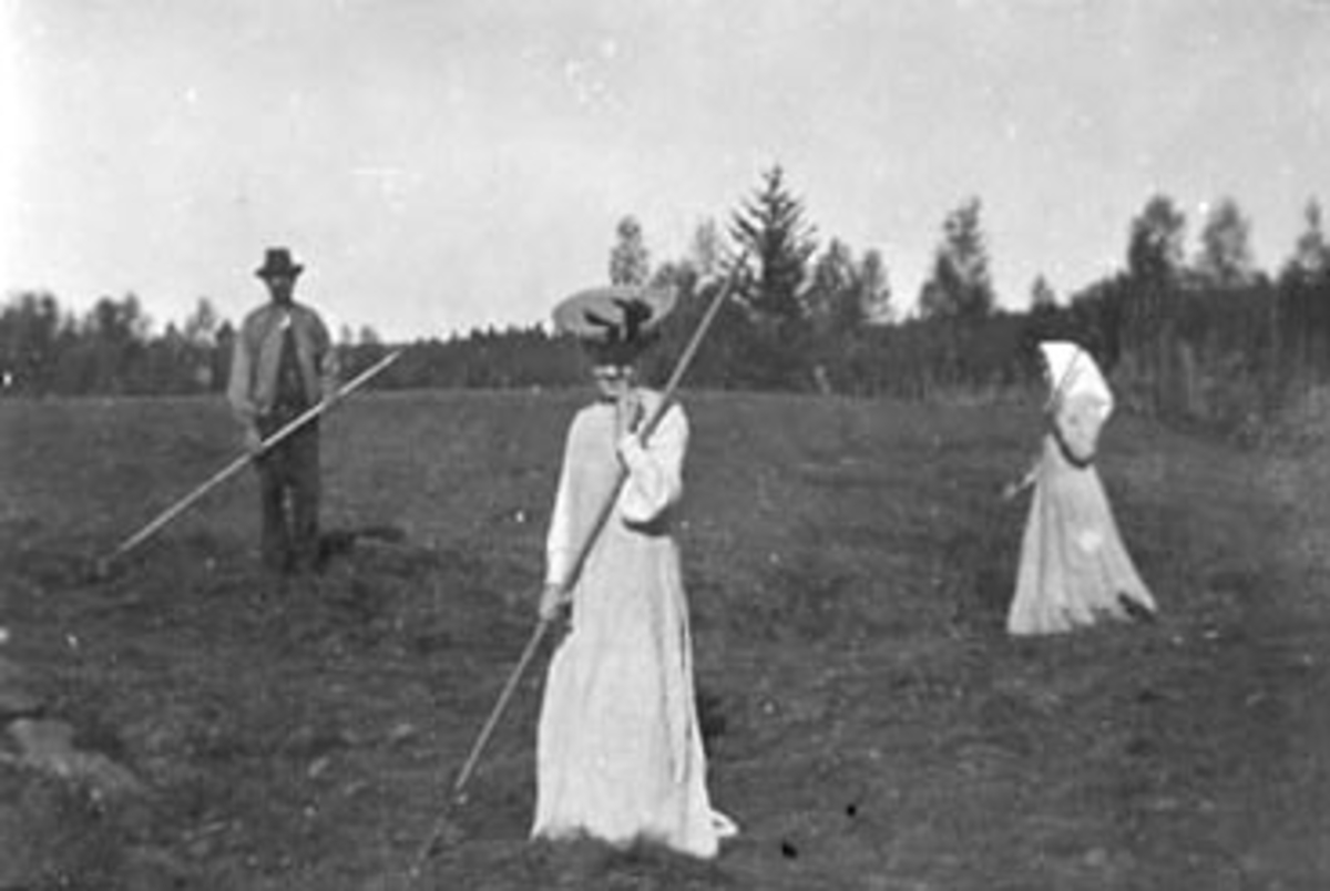 Anno Domkirkeodden, SLÅTTONN, HØYONN, GRUPPE: 3 MED RIVER, TIL HØYRE. MED SKAUT: OTTINE VOLDEN, FØDT: 1878, TOMTER GÅRD,