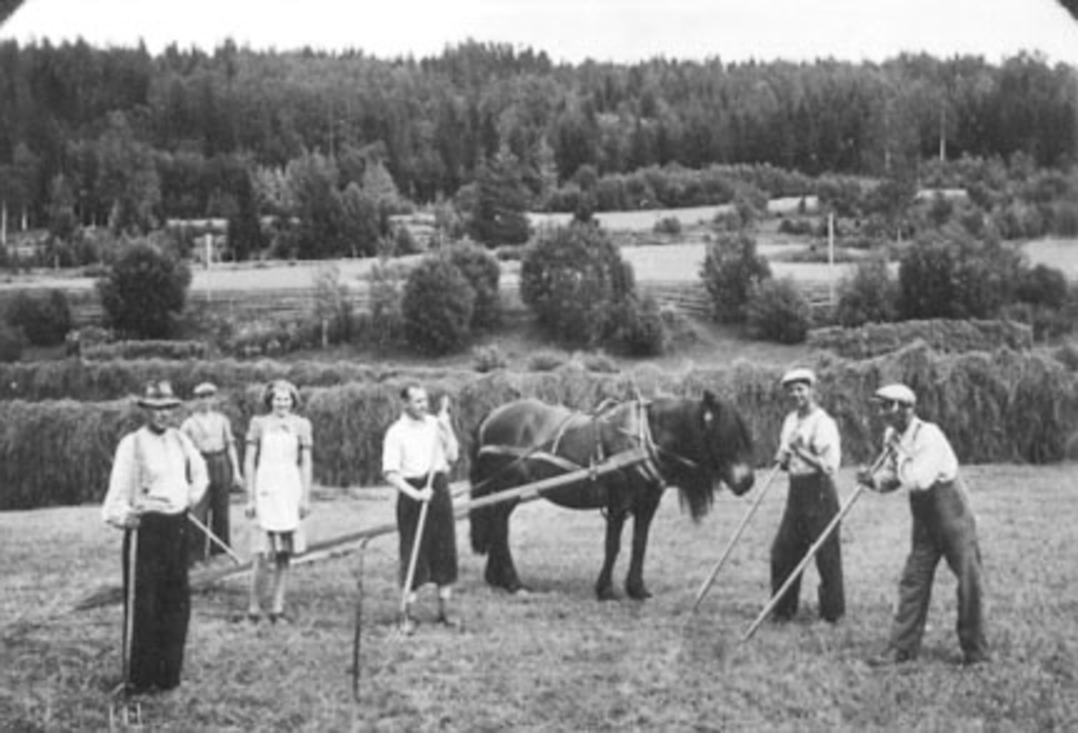 Anno Domkirkeodden, SLÅTTONN, HØYONN, HEST MED HØYRIVE, GRUPPE: 6, OSKAR JOHNSEN, GUNNAR BJØRNDALEN, MARTIN ERSTAD, EDVIN LILLEHOV, GUDOLV LILLEHOV, SYVER LILLEHOV, VALLSET