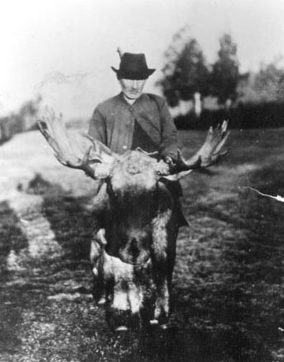 Anno Domkirkeodden, ELGJAKT, KRISTIAN KNUDSEN, RASEN
