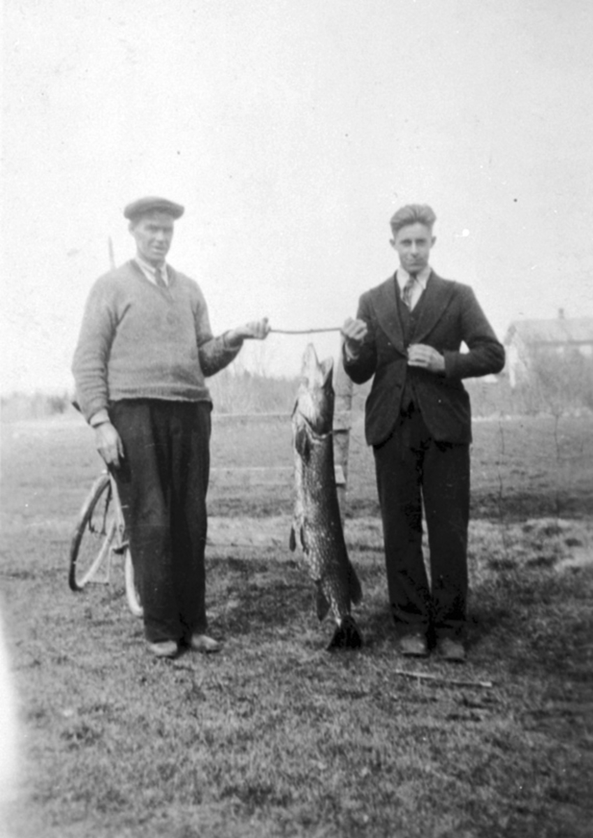 Anno Domkirkeodden, GRUPPE: 2 FISKERE MED GJEDDE, OLAF HOLEN, HÅKON HOLEN, GJEDDE 15 KG. , HOLEN, OTTESTAD,