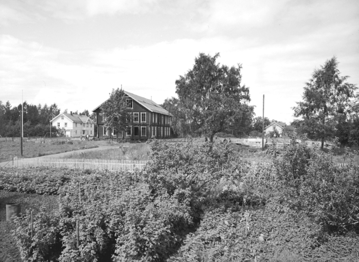 Anno Domkirkeodden, EKSTERIØR: GAMLE STANGE SKOLE, FØR FLYTTING