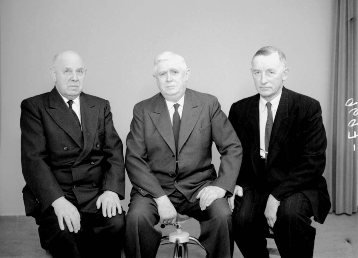 Anno Domkirkeodden, GRUPPE: MEIERISTYRET, STANGE MEIERI