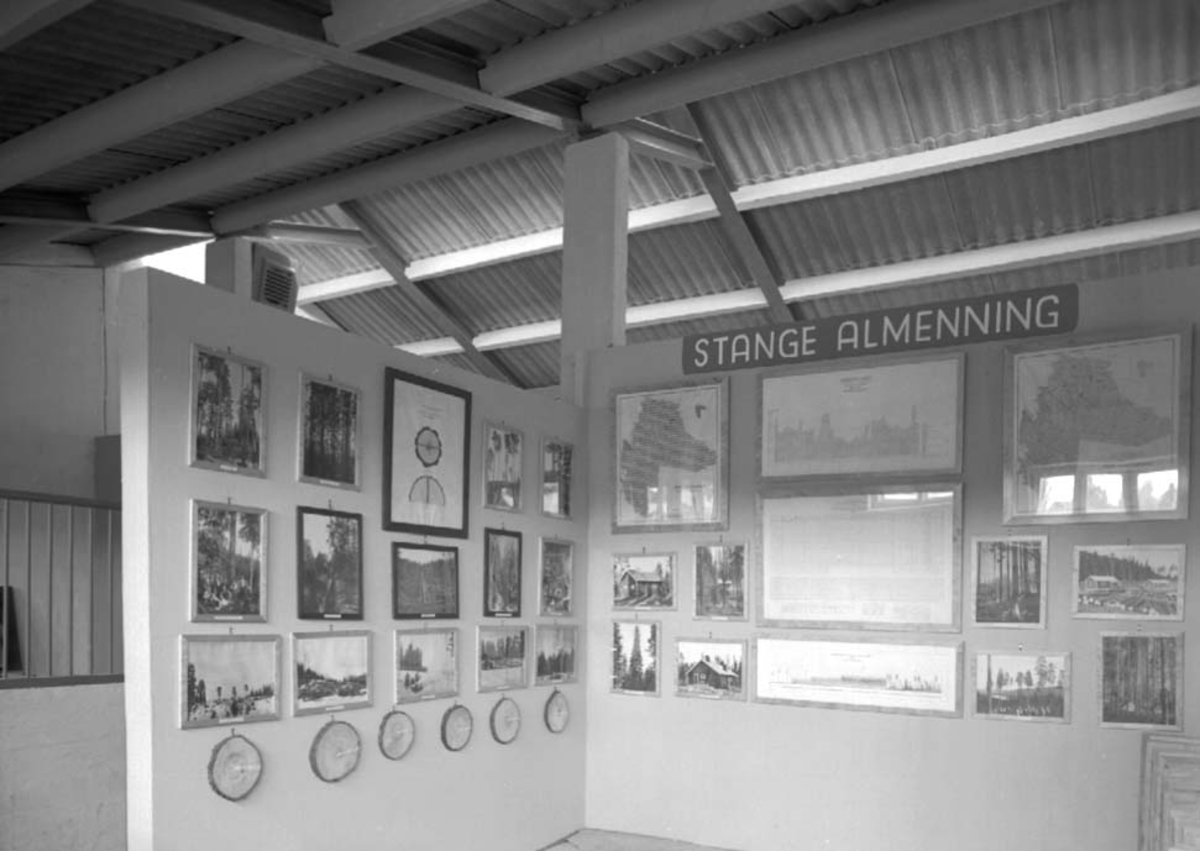 Anno Domkirkeodden, STANGE BYGDEUTSTILLING, UTSTILLINGSPLASSEN HAMAR, STAND STANGE ALLMENNING