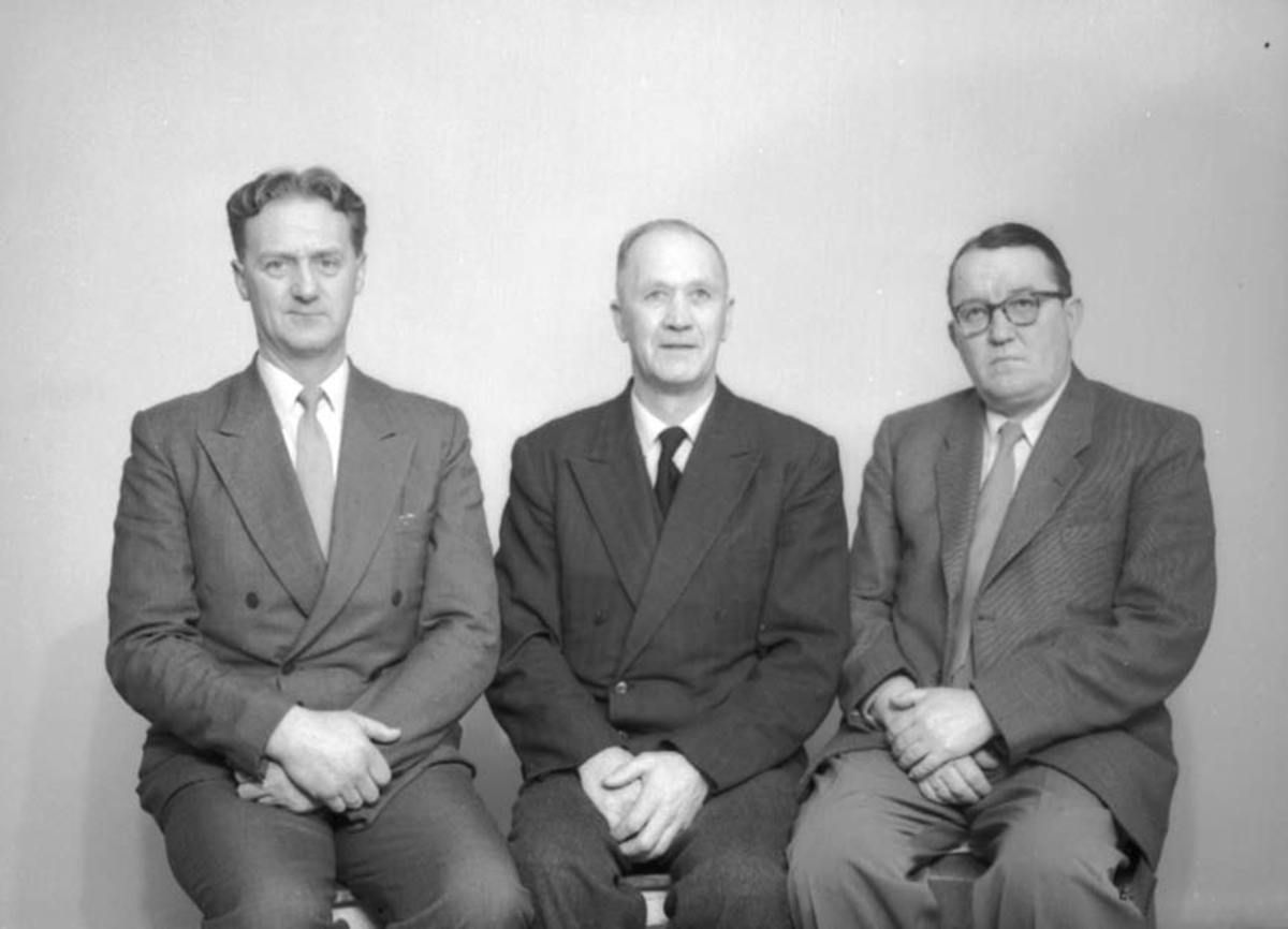 Anno Domkirkeodden, GRUPPE: 3, STYRET, ROMEDAL SKOGEIERFORENING,