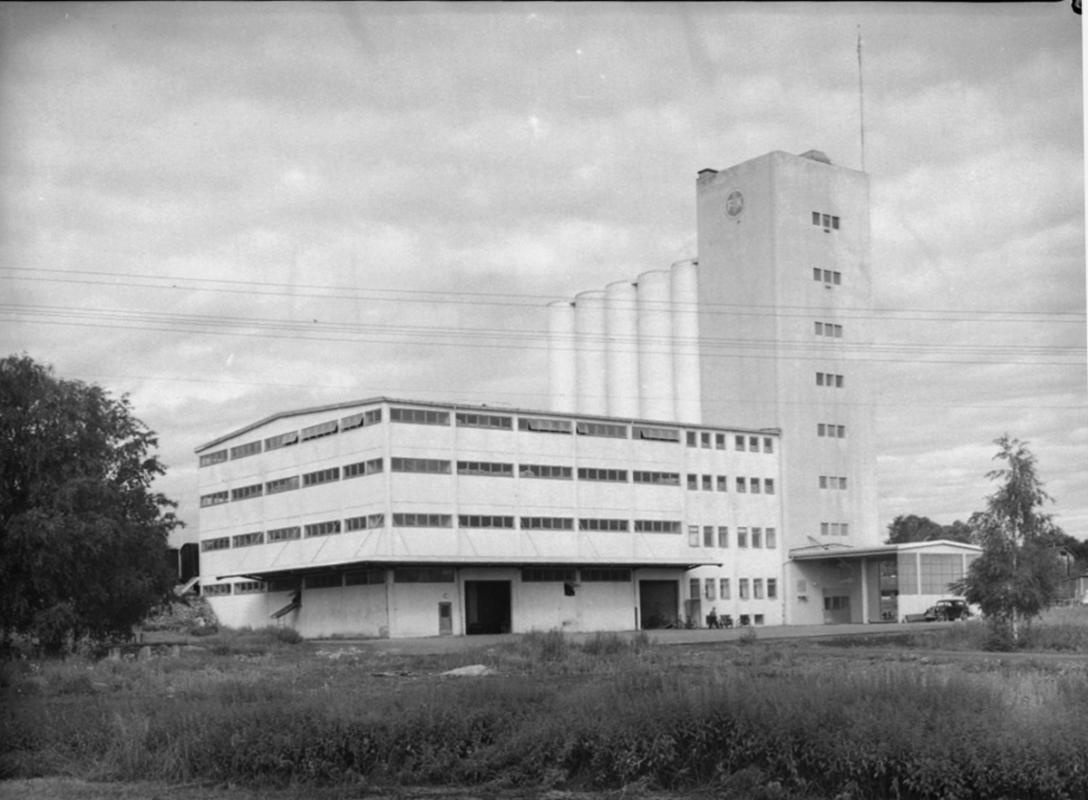 Anno Domkirkeodden, FELLESKJØPETS MØLLE, FERDIG OPPFØRT,