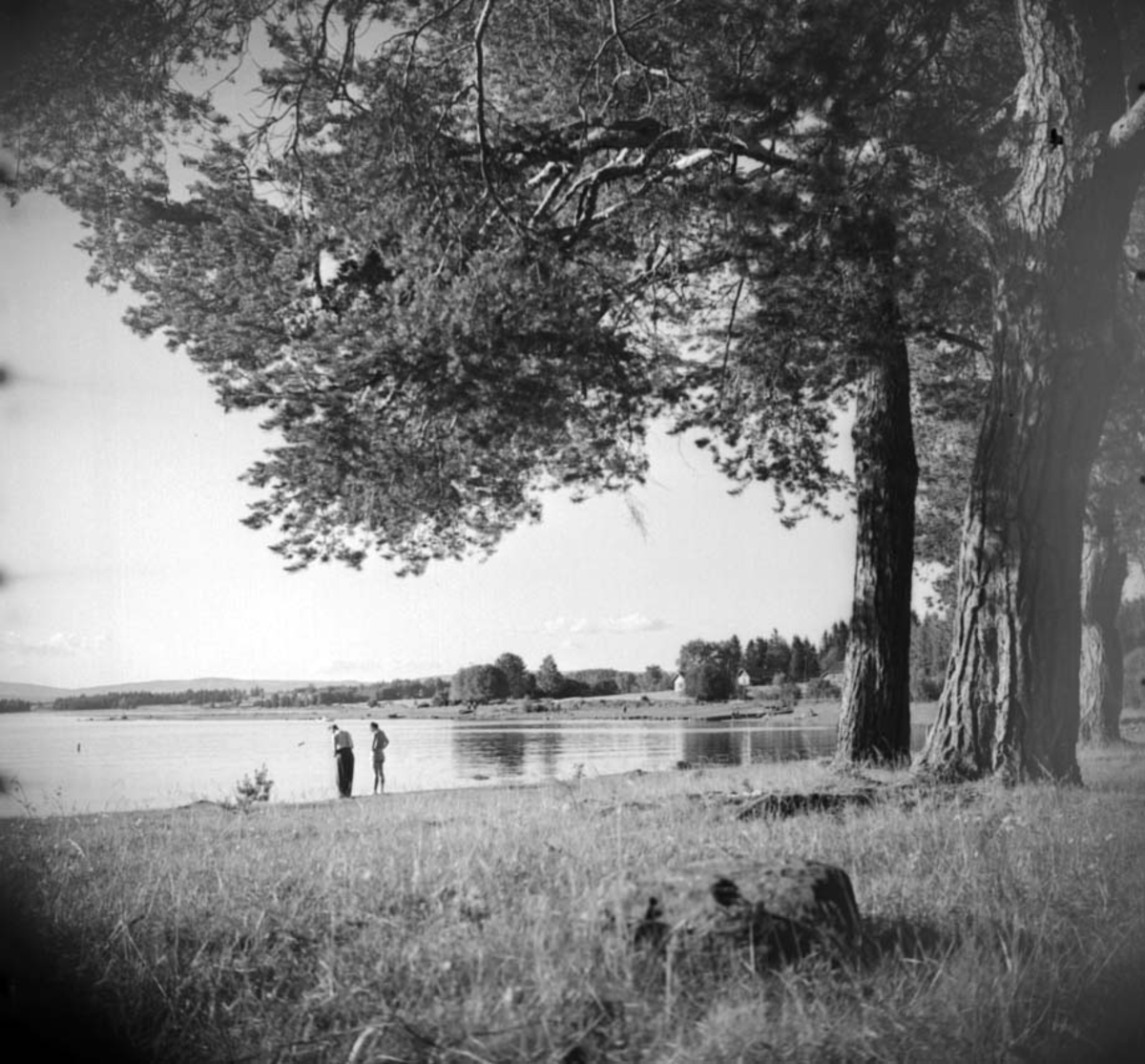 Anno Domkirkeodden, BADELIV HESTENEBBEN, STRAND UNDER VEEN GÅRD,