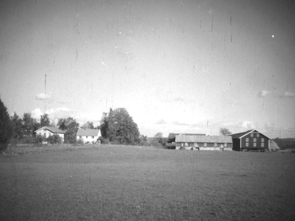 Anno Domkirkeodden, OVERSIKT, GARDSTUN, LINDSTAD GÅRD,