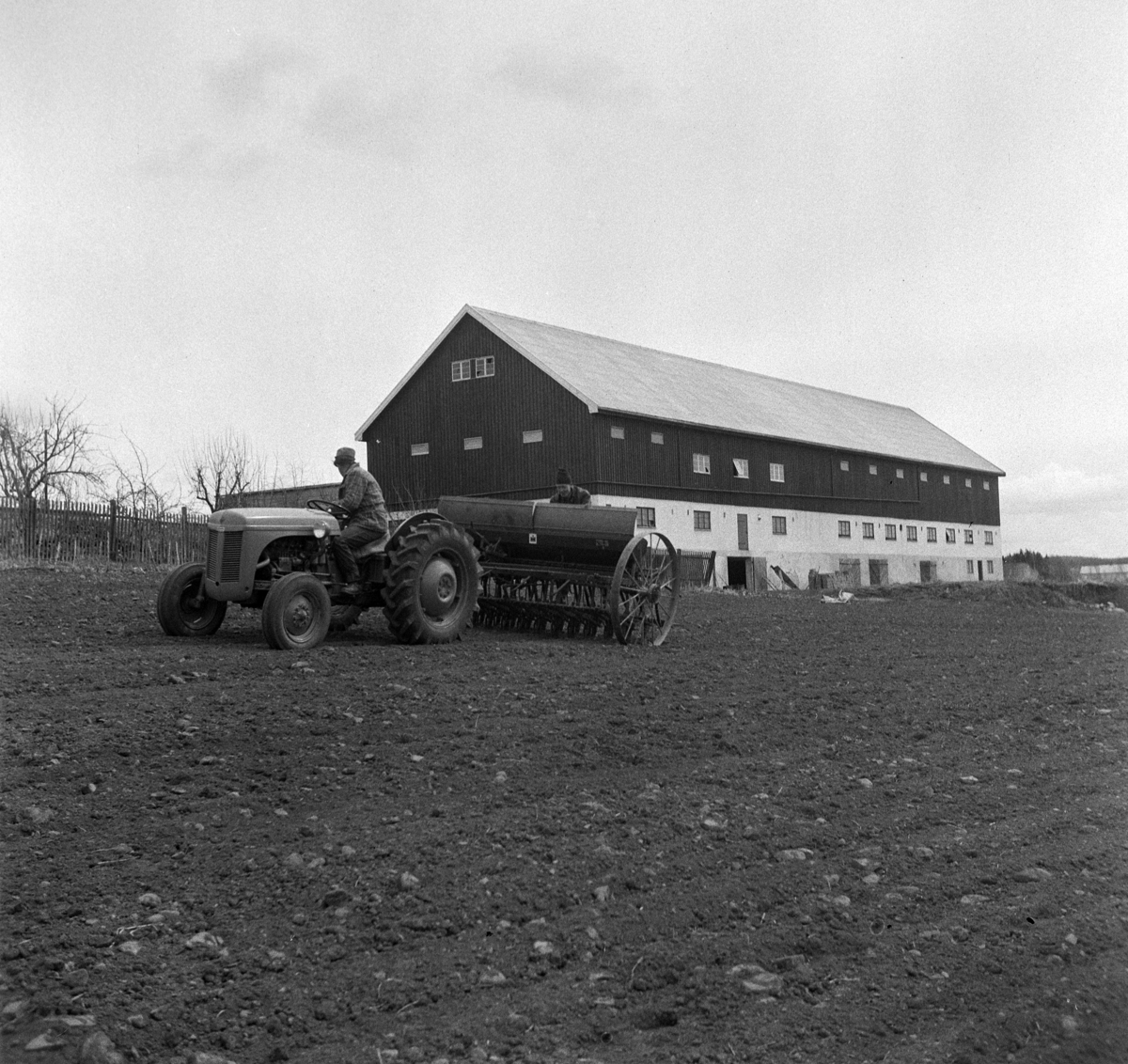Anno Domkirkeodden, TRAKTOR MED SÅMASKIN, FOKHOL GÅRD,