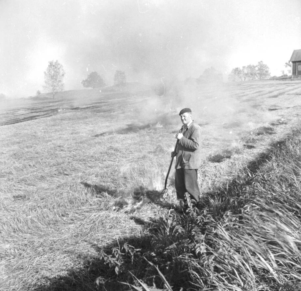 Anno Domkirkeodden, SKURONN, TRESKING, HALMBRENNING, LALUM GÅRD