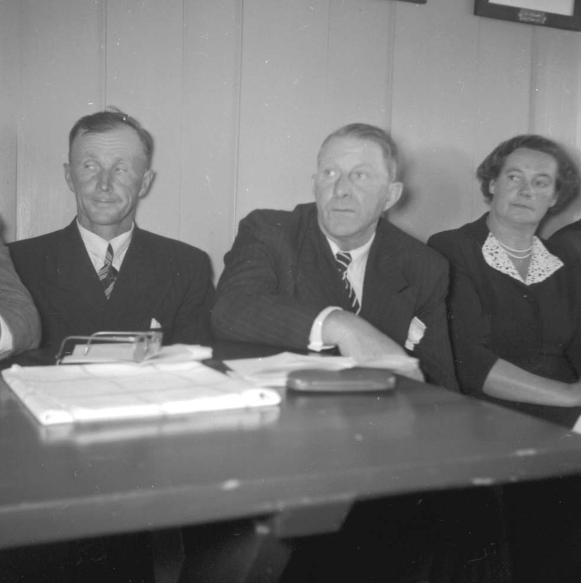 Anno Domkirkeodden, GRUPPE: 2 MENN, 1 DAME, STANGE HERREDSTYRE, MØTEVIRKSOMHET, FOKHOL