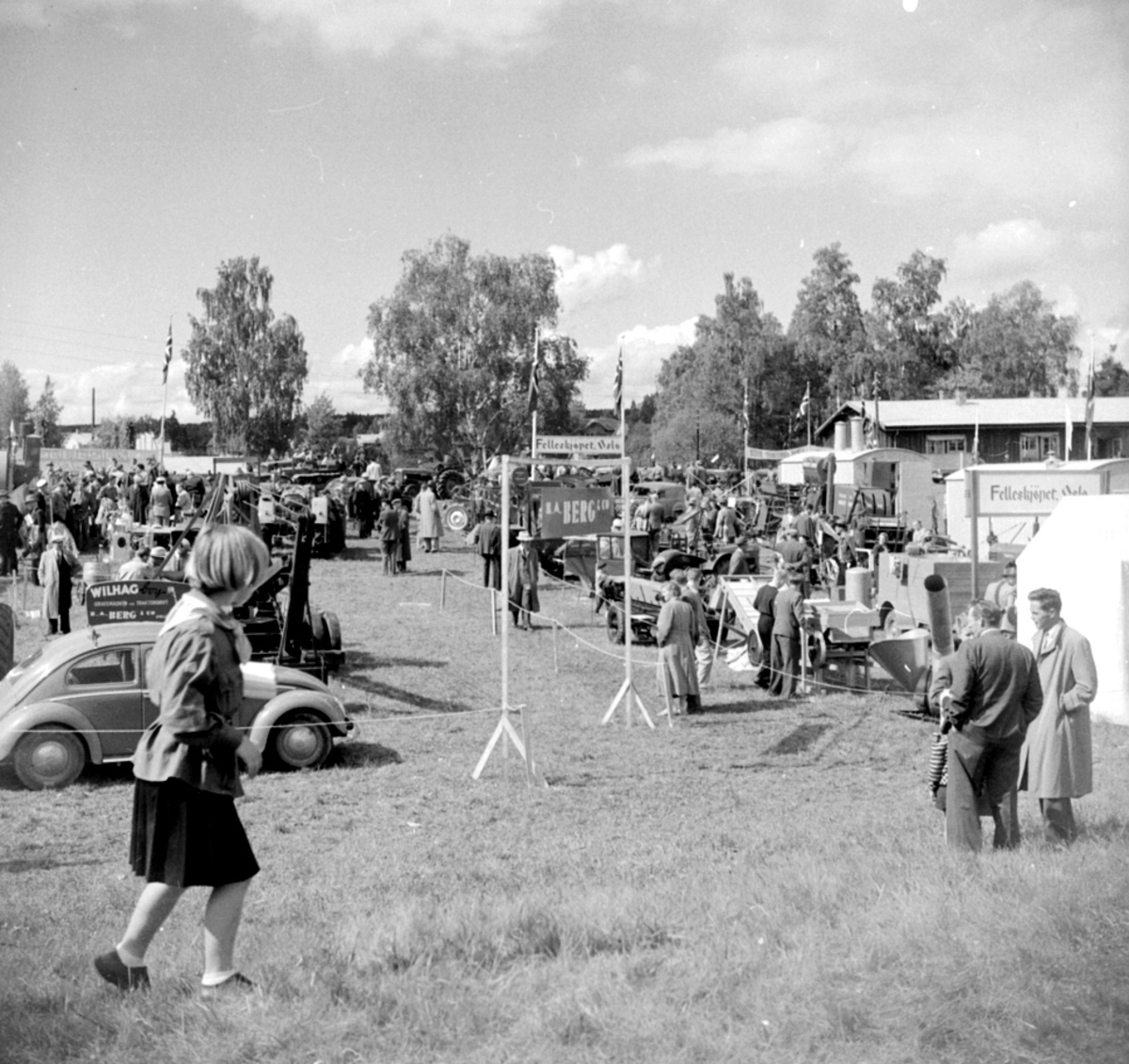 Anno Domkirkeodden, STANGEUTSTILLING, OVERSIKT, MYE FOLK, UTSTILLINGSPLASSEN, HAMAR
