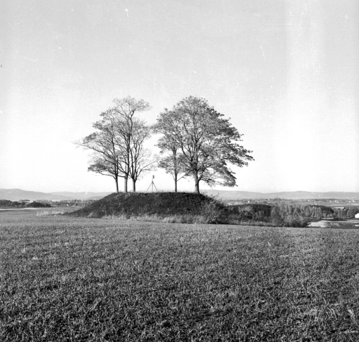 Anno Domkirkeodden, LALUM GRAVHAUG,