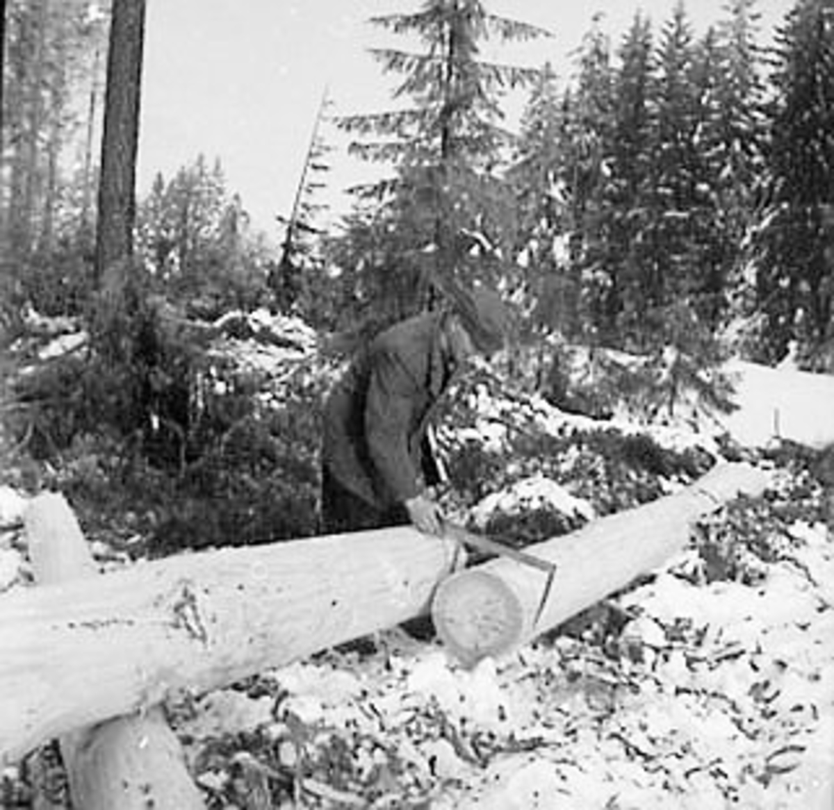 Anno Domkirkeodden, SKOGBRUK, TØMMERMÅLING, VINTER, SNEKKERSVEDRIFTA, PRESTMARKA, STANGE