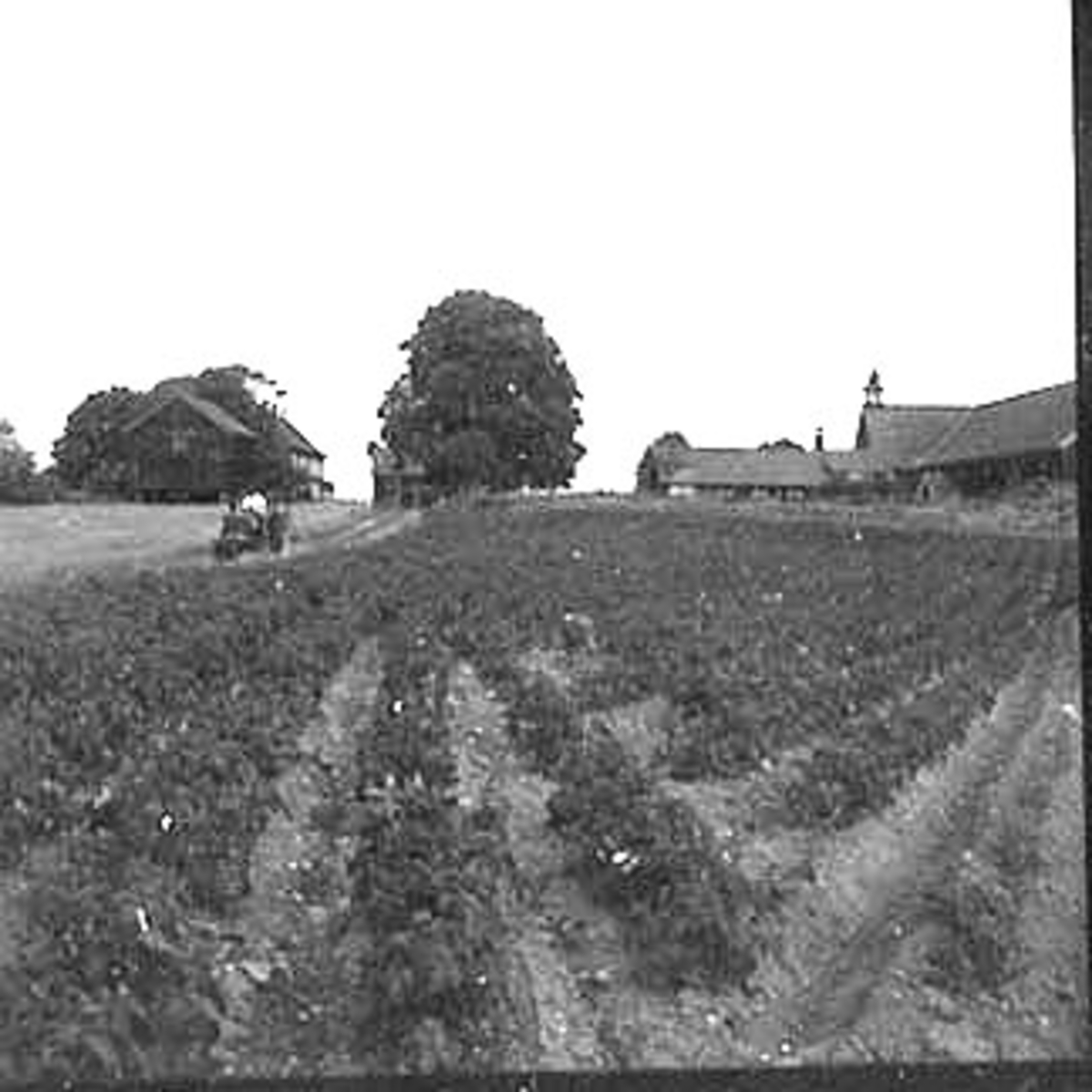 Anno Domkirkeodden, EKSTERIØR: GARDSBRUK, RINGNES GÅRD, SETT FRA NORD,
