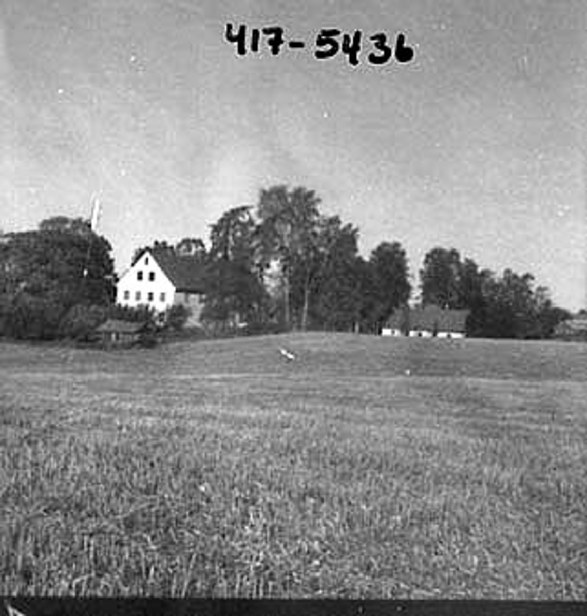 Anno Domkirkeodden, EKSTERIØR: GARDSBRUK, HVERVEN, HOVEDBYGNINGEN,