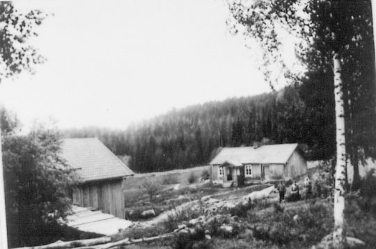 Normann Helger, EKSTERIØR: SKJELLET, SMÅBRUK, PLASS I SKOGEN, TANGEN,