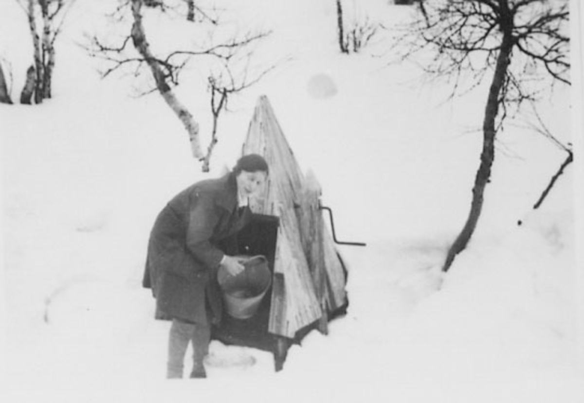 Normann Helger, BRØNNHUS, STOR REE, PÅ HYTTA?, VINTER, DAME MED BØTTE, RE STORE KJERNMYR. /HAUG