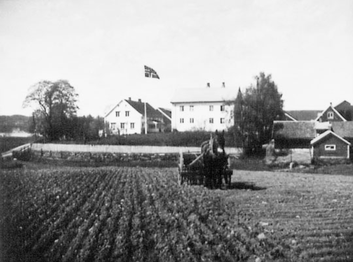 Normann Helger, VÅRONN, HEST MED SÅMASKIN, EKSTERIØR: GARDSBRUK, FJETRE GÅRD, OTTESTAD, FLAGG,