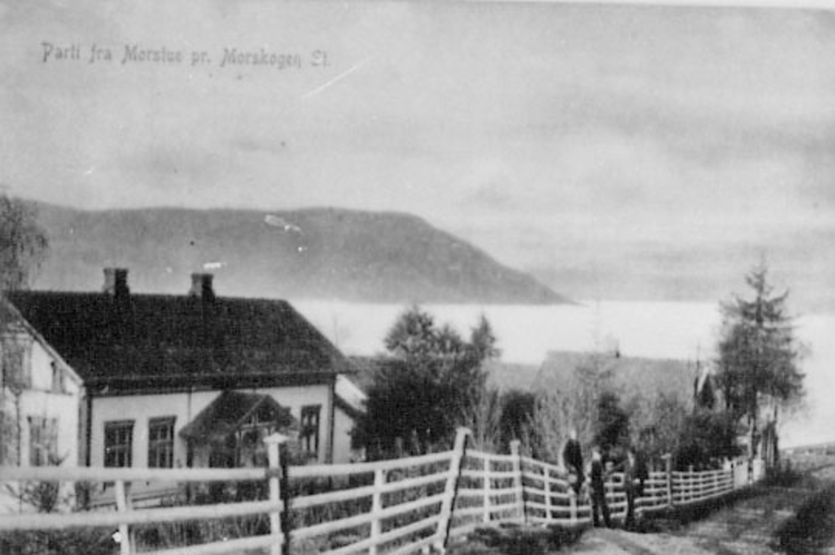 Normann Helger, EKSTERIØR: MOSTUE NORDRE (g. br. nr 189/7) M. M. MOT MJØSA, GAMLE KONGEVEG, STRANDLYKJA, MORSTU NEDRE, JERNBANESKINNER. POSTKORT. NORDRE MOSTUE LIGGER MELLOM STRANDLØKKEN OG MOSTUE NEDRE. Postkort ca. 1910. I huset t. h i bildet ble det drevet landhandel av G. Gulbrandsen. Flere opplysninger se bok…