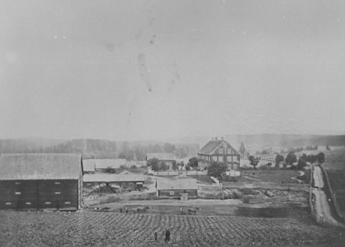 Anno Domkirkeodden, EKSTERIØR: GARDSBRUK, SANDE, HELE GARDSTUNET, SANDE, ROMEDAL