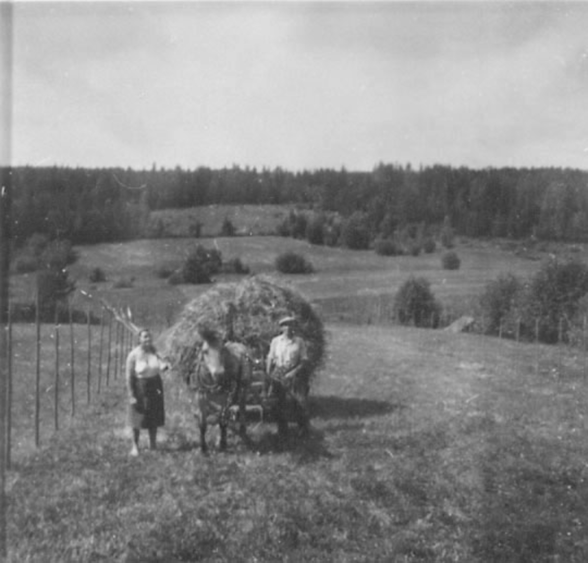 Anno Domkirkeodden, HØYONN, SLÅTTONN, HEST MED HØYLASS, ASTRID TROSVIK, OLE TROSVIK, TROSVIKEN NEDRE, TANGEN,