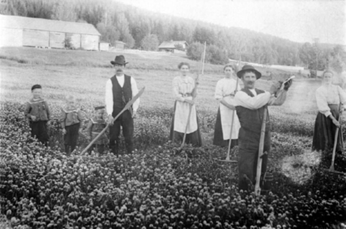 Anno Domkirkeodden, HØYONN, SLÅTTONN, GRUPPE: 8, 3 BARN: OLA STORBÆK, HERMAN STORBÆK, SIGVART STORBÆK, GUDBRAND STØA, GUDBRAND, ?, MARTIN STORBÆK, SINA STORBÆK, BJØRNSTAD, VALLSET