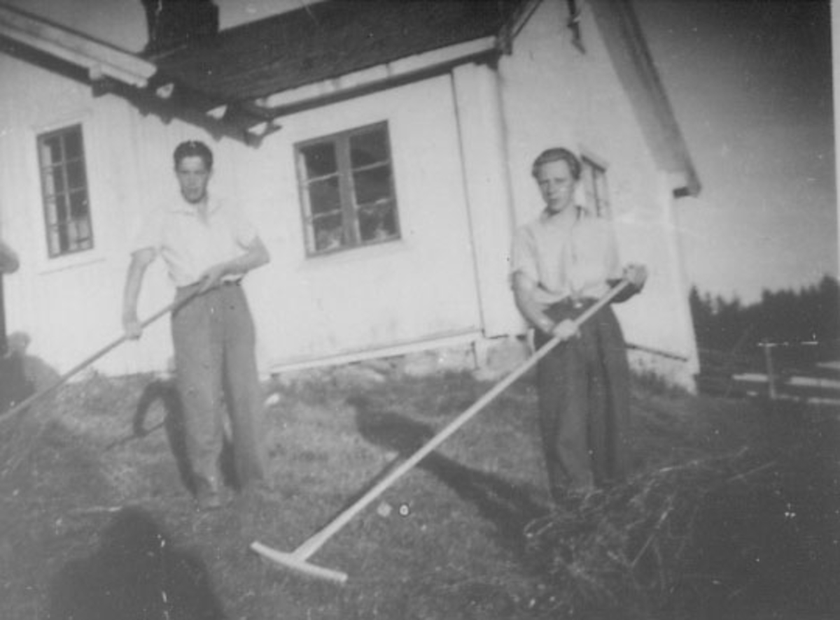 Anno Domkirkeodden, SLÅTTONN PÅ GARDSPLASSEN, KJELDSRUD, VALLSET,