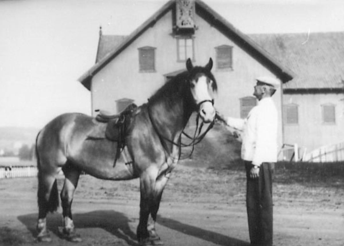 Anno Domkirkeodden, HARALD HORNE MED HESTEN STORM, HORNE,