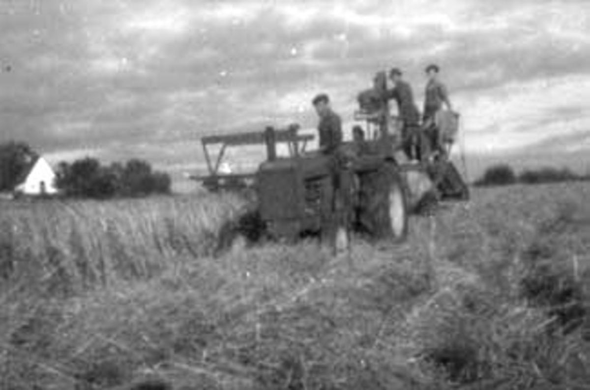 Anno Domkirkeodden, SKURONN MED TRAKTOR OG SKURTRESKER