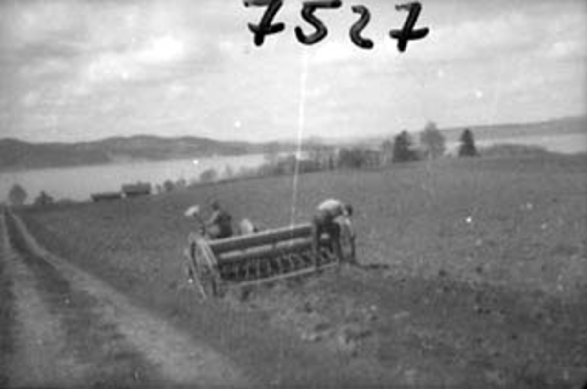 Anno Domkirkeodden, VÅRONN, SÅING MED TRAKTOR, ATLUNGSTAD, OTTESTAD