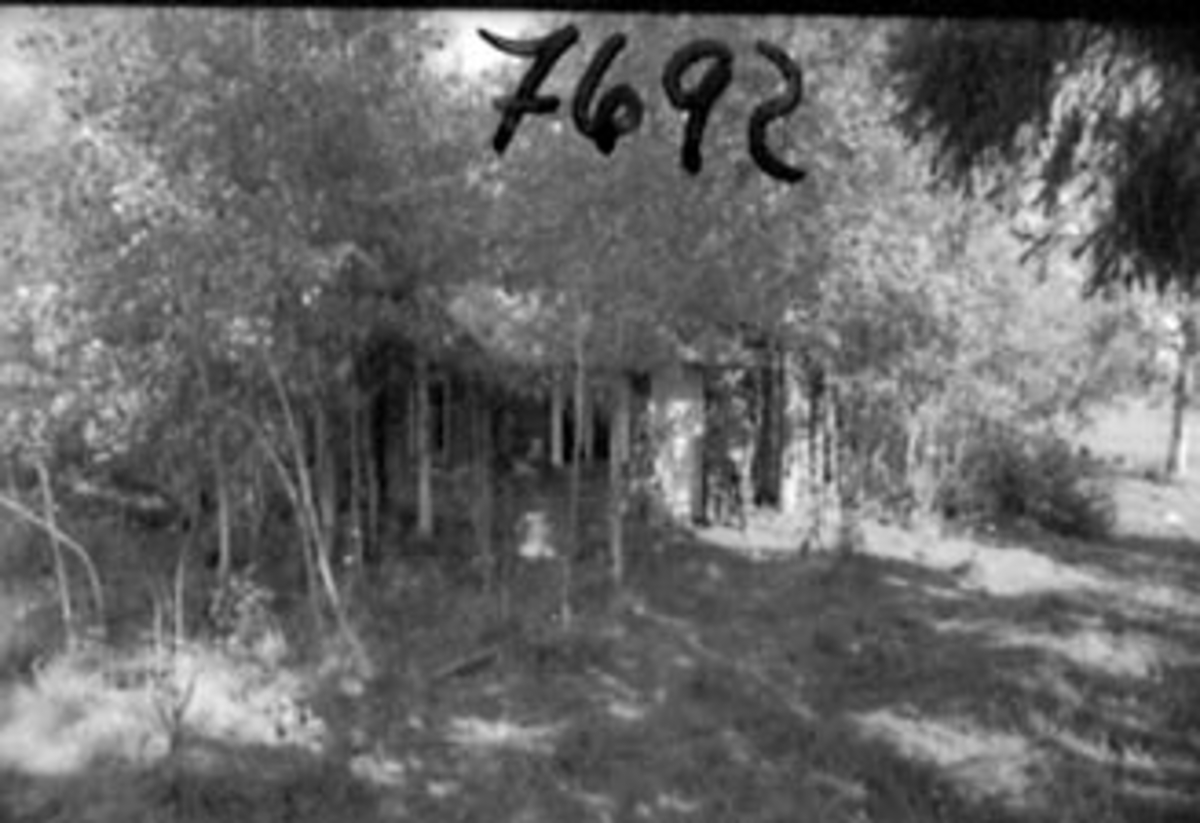 Anno Domkirkeodden, EKSTERIØR HYTTE I SKOG