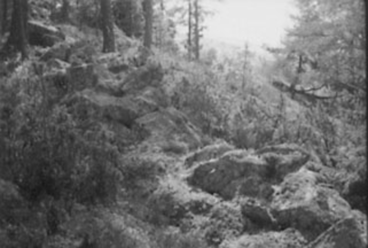 Anno Domkirkeodden, FORTIDSMINNE, FORNMINNE, RESTER AV BYGDEBORG, SOTENODDEN, TANGEN