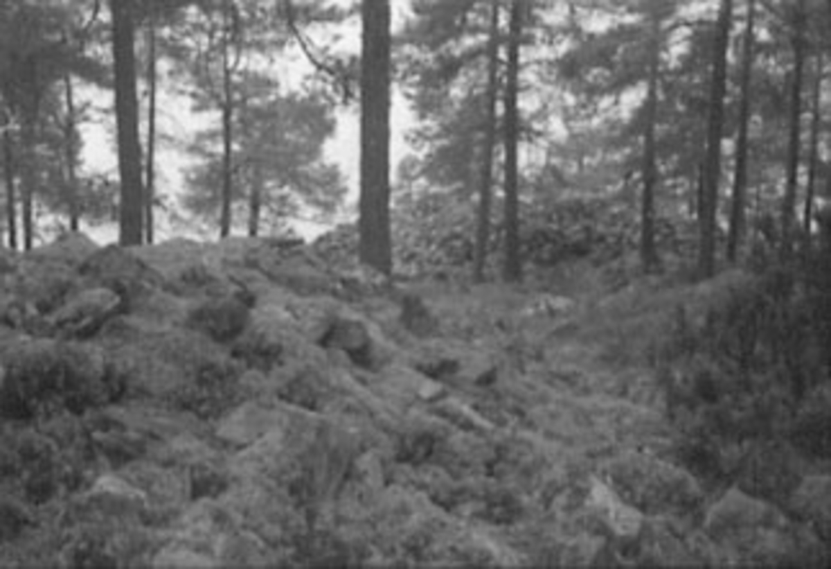 Anno Domkirkeodden, FORTIDSMINNE, FORNMINNE, GRAVRØYS, SOTENODDEN, TANGEN