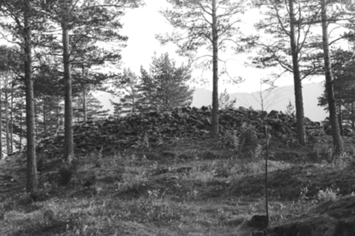 Anno Domkirkeodden, FORTIDSMINNE, FORNMINNE, GRAVRØYS